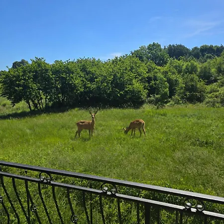 Casa vacanze Morenowa Dolina *