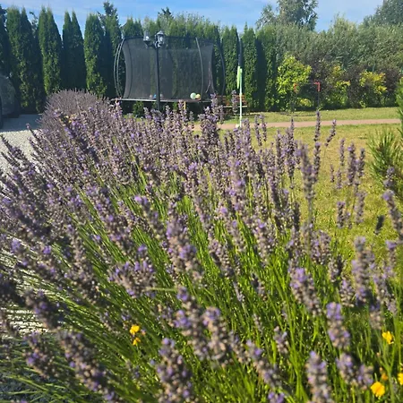 Feriehus Morenowa Dolina Rusinowo (Slawno)